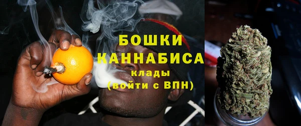винт Майский