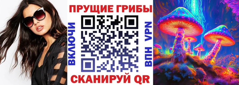 магазин продажи наркотиков  Осташков  Псилоцибиновые грибы Cubensis 